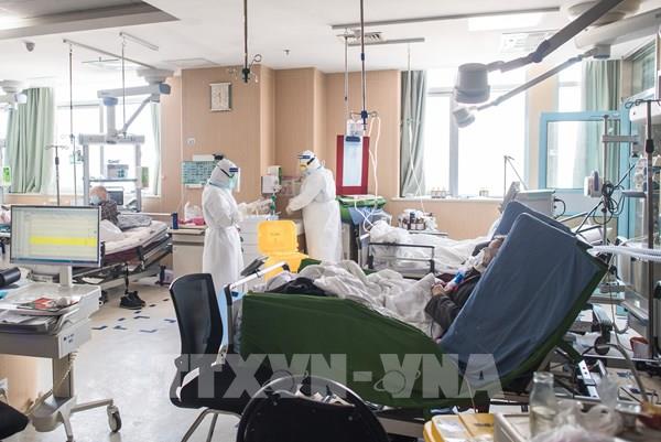 Xác định các nhóm nguy cơ nhiễm virus HMPV