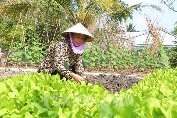 Phụ nữ dân tộc thiểu số Sóc Trăng thay đổi “nếp nghĩ, cách làm”