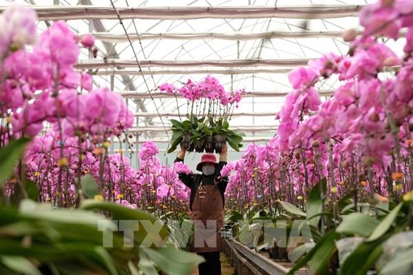 Danh sách những món quà Tết 2025 ý nghĩa và thiết thực