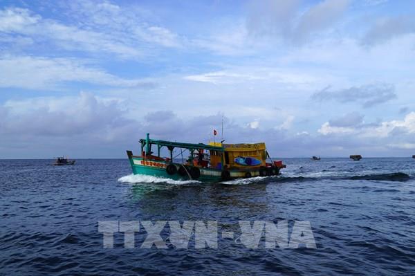 Khắc phục "thẻ vàng" IUU: Kiên Giang nhiều chuyển biến tích cực