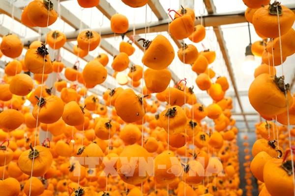 “Du học” làm hồng treo theo công nghệ Nhật