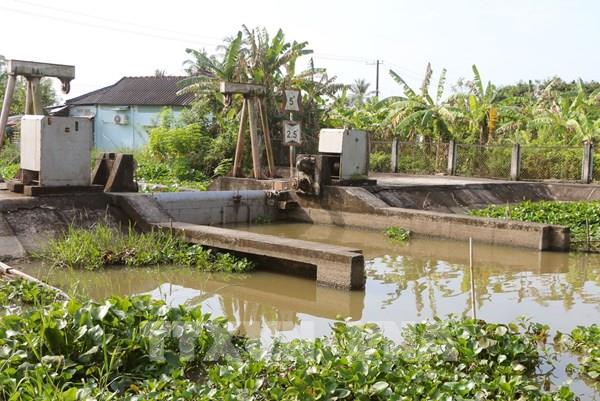 Xâm nhập mặn tại Đồng bằng sông Cửu Long ở mức cao trong những ngày đầu tháng 2