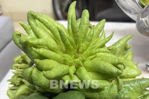 Cách lựa chọn trái cây ngon, đẹp mắt cho ngày Tết