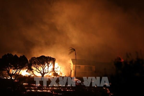 Thảm họa cháy rừng ở Los Angeles (Mỹ) gây khủng hoảng bảo hiểm nghiêm trọng