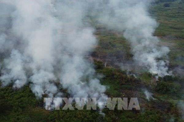 Nỗ lực khống chế đám cháy rừng tại thành phố Hạ Long (Quảng Ninh)