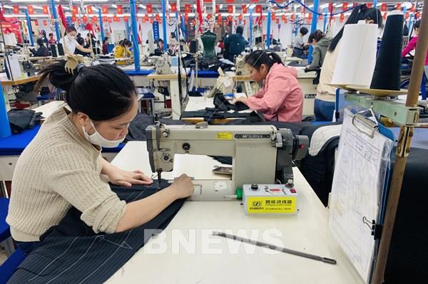 Mục tiêu tăng trưởng 8% trở lên: Chiến lược thị trường vượt rào cản thương mại mới