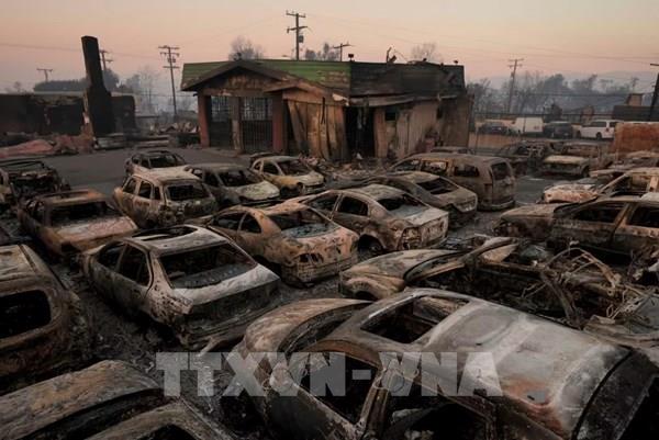 Thiệt hại do vụ cháy rừng ở Mỹ ước tính gần 150 tỷ USD