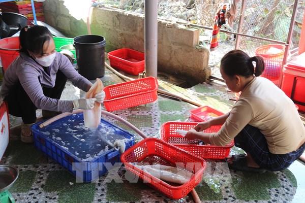 Sản phẩm chế biến thủy hải sản hút hàng cận Tết