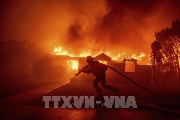 Bài học kinh tế rút ra từ vụ cháy rừng ở Mỹ