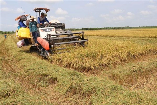 Đồng Tháp thúc đẩy chuyển đổi số trong nông nghiệp