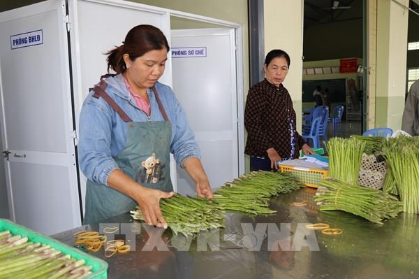 Ninh Thuận thu hẹp khoảng cách phát triển giữa các dân tộc, vùng miền