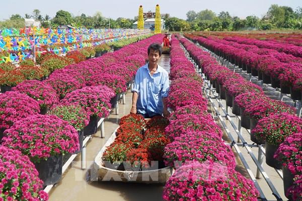 Đồng Tháp tri ân tiền nhân và tôn vinh người trồng hoa, kiểng Sa Đéc