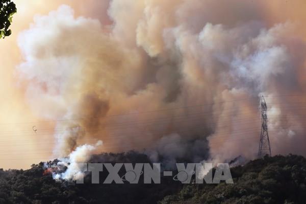 Nguyên nhân khiến cháy rừng lan rộng ở Los Angeles (Mỹ)