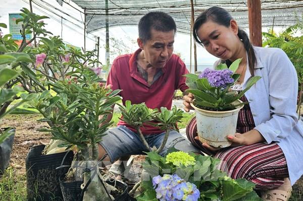 Vốn tín dụng chính sách góp phần giảm nghèo tại Bến Tre