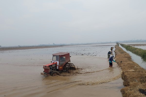 Vận hành tối đa công suất để lấy nước đổ ải vụ Đông Xuân