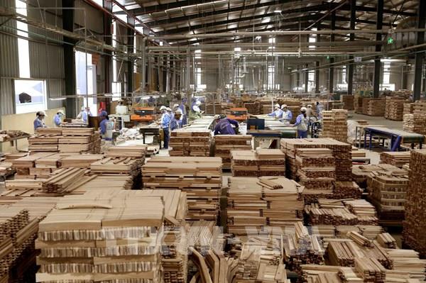 Đối mặt sức ép, ngành gỗ Bình Định đề ra loạt giải pháp tăng trưởng xuất khẩu năm 2025