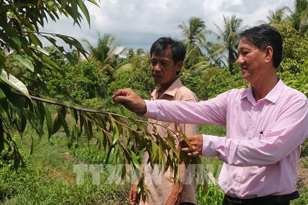 “Bệ đỡ” cho người dân thoát nghèo bền vững