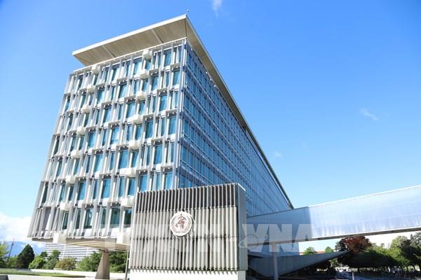 WHO: 420.000 ca tử vong/năm do thực phẩm không an toàn