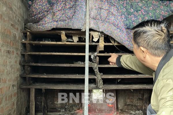 Nâng giá trị làng nghề rắn Vĩnh Sơn