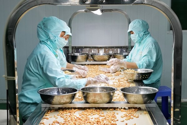 Thêm lợi thế cạnh tranh cho hàng Việt khi xuất khẩu sang Hà Lan