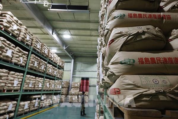 Nhật Bản cân nhắc sử dụng gạo dự trữ để ổn định thị trường