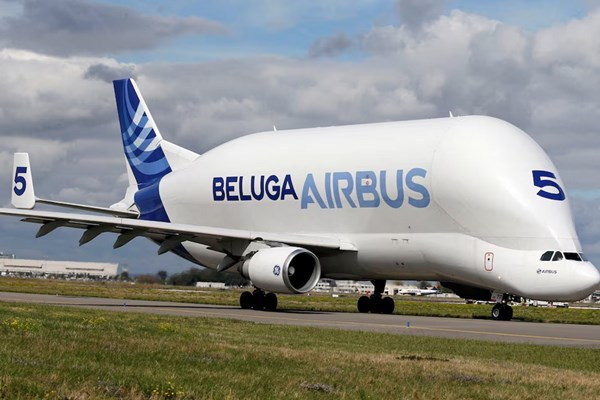 Airbus dừng hoạt động vận chuyển hàng hóa bằng máy bay Beluga