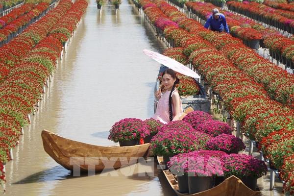 Muôn sắc hoa chào đón xuân sang