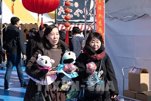 Độc đáo Lễ hội Tết nguyên đán theo chủ đề gấu trúc tại Nhật Bản