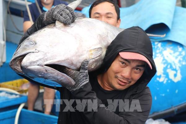Ngư dân vững niềm tin vươn khơi bám biển đầu xuân mới