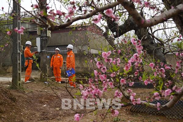 Tiêu thụ điện bình quân ngày trong dịp Tết Nguyên đán Ất Tỵ cao hơn cùng kỳ 7,8%