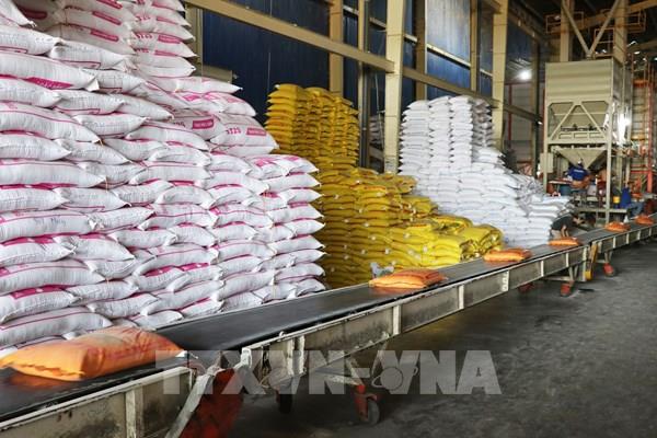 Thị trường nông sản: Giá gạo xuất khẩu chưa có tín hiệu hồi phục