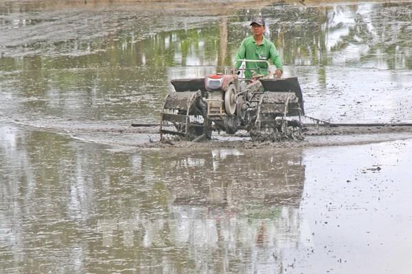 Thủ tướng Chính phủ ban hành Công điện về chủ động ứng phó đợt xâm nhập mặn cao điểm