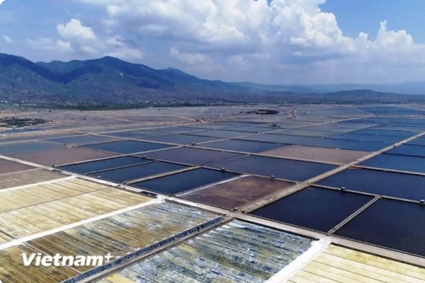 Bộ Tài chính đề xuất loạt chính sách miễn giảm tiền sử dụng đất, thuê đất