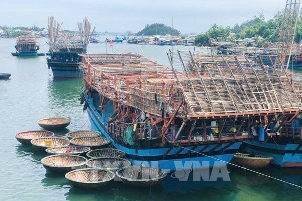 Ngư dân thủ phủ nghề cá vươn khơi đầu năm