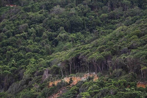 Ứng dụng công nghệ cao để phòng chống cháy rừng