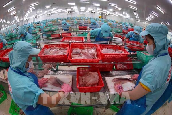 Thứ trưởng Phùng Đức Tiến: Bắt nhịp thay đổi của thị trường để duy trì tăng trưởng xuất khẩu