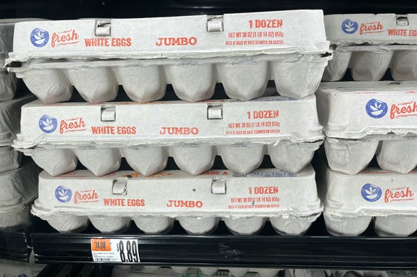 Mỹ truy tìm thủ phạm đánh cắp khoảng 100.000 quả trứng tại bang Pennsylvania