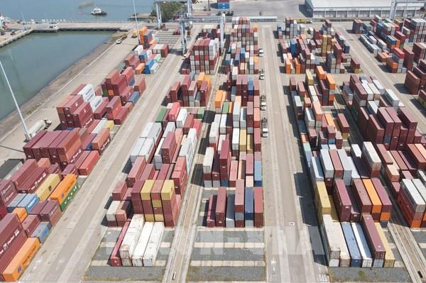 Doanh nghiệp logistics chuyển mạnh sang số hoá
