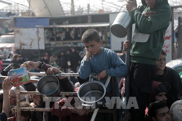  WFP kêu gọi quốc tế chung tay hỗ trợ lương thực cho người dân Gaza