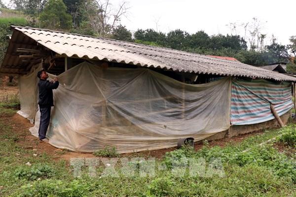 Thủ tướng chỉ đạo chủ động ứng phó đợt rét đậm, rét hại kéo dài