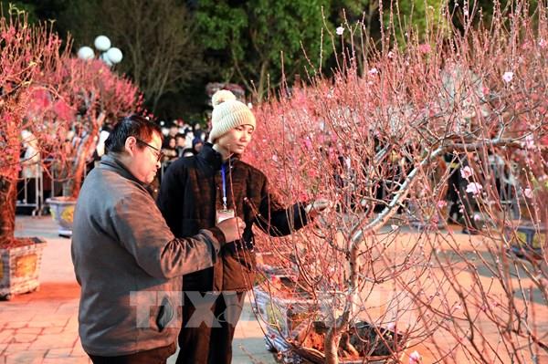 Đến Lạng Sơn khám phá lễ hội hoa Đào Xứ Lạng