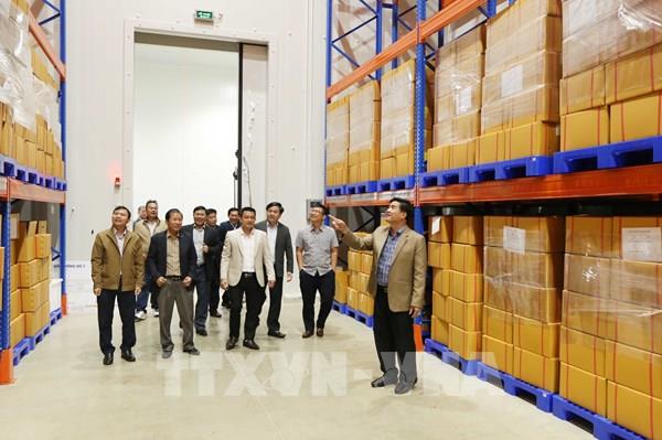 Nông dân, doanh nghiệp Đắk Lắk ra quân sản xuất, kỳ vọng năm mới thuận lợi