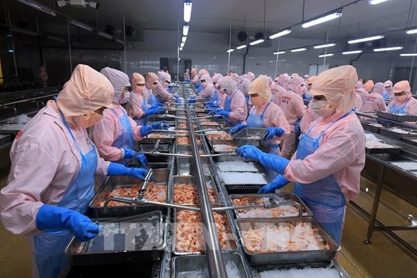 Hoa Kỳ công bố kết quả sơ bộ về thuế chống bán phá giá với tôm Việt