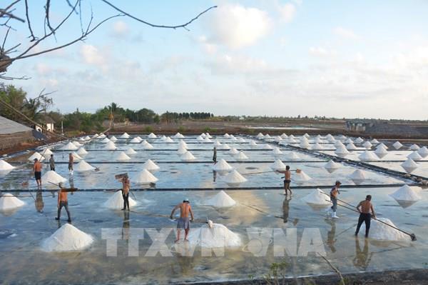 Festival nghề muối Việt Nam - nâng cao giá trị hạt muối