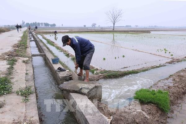 Các đơn vị khai thác vận hành tối đa phương tiện lấy nước cho vụ Đông Xuân