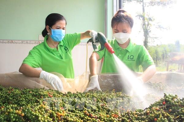 Bộ Công Thương hướng dẫn cụ thể về sử dụng bảng kê thu mua nguyên liệu