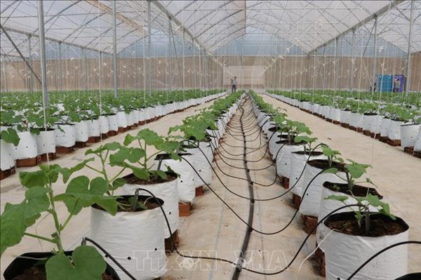 Bộ Nông nghiệp và Môi trường lập 10 đoàn công tác gỡ khó trong vận hành chính quyền 2 cấp