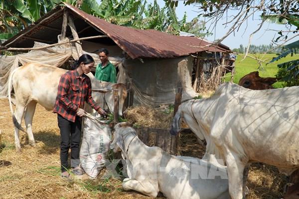 Bổ sung tiêu chí xác định người lao động có thu nhập thấp