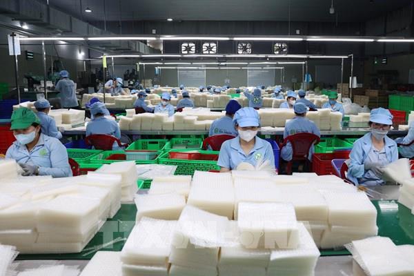 Nâng tầm đặc sản OCOP, mở ra cơ hội xuất khẩu