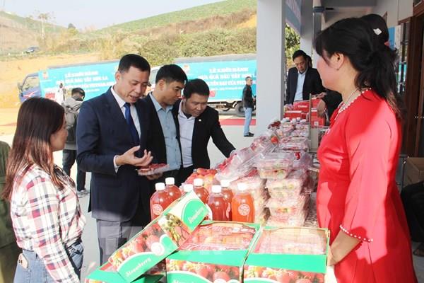 Khởi hành đưa dâu tây Sơn La bay cao cùng Vietnam Airlines